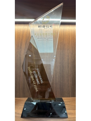 桐鄉市大企業培育工程獎