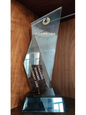 桐鄉經濟開發區(高橋街道) 大企業培育工程獎